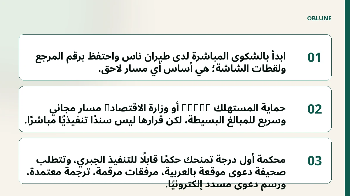 استرداد تذكرة طيران ناس: مسارات الشكوى والمحكمة وما تحتاجه في كل ملف