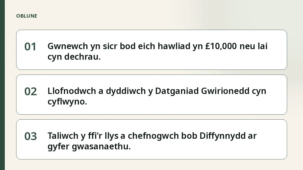 Ffioedd llys sirol: camau cyflwyno hawliad bach