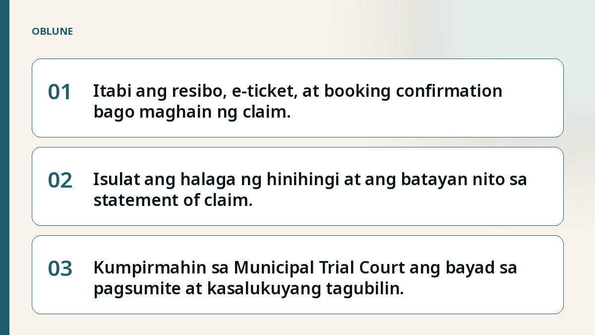 Canceled Flight Refund: Kumpletong Small Claims Package