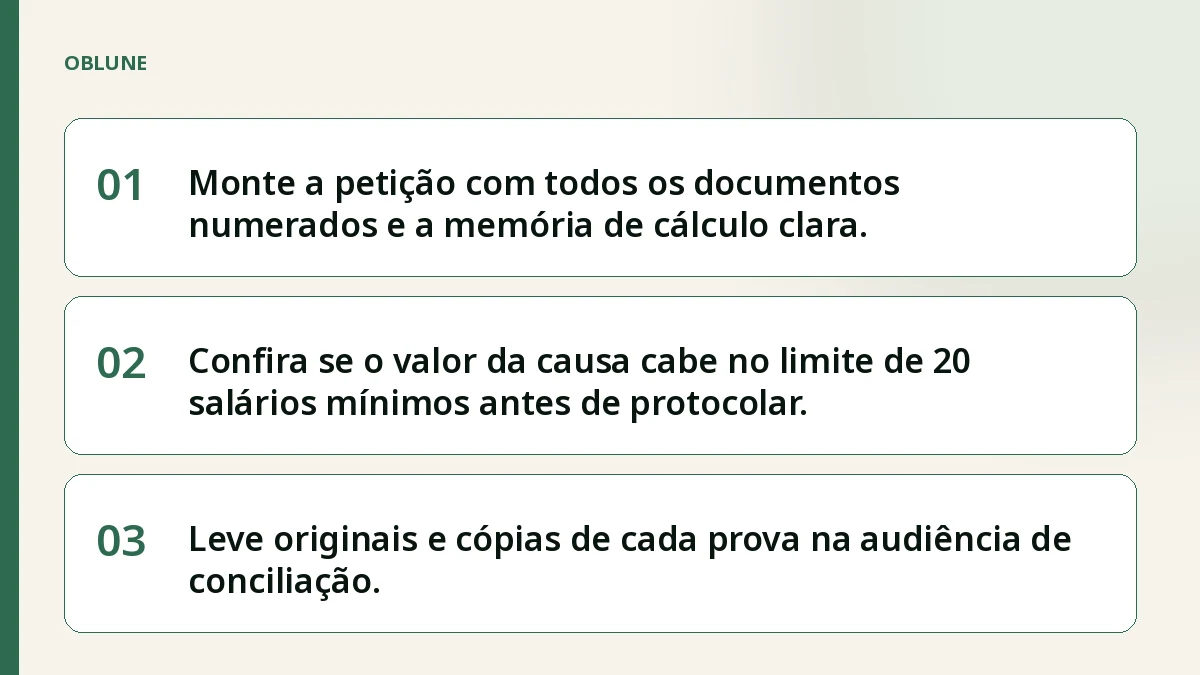 Provas no Juizado Especial Cível: o que o tribunal pede campo a campo